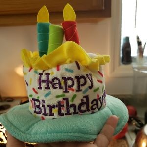 SOLD SOLD Birthday Hat For Dog or Cat with extra hats